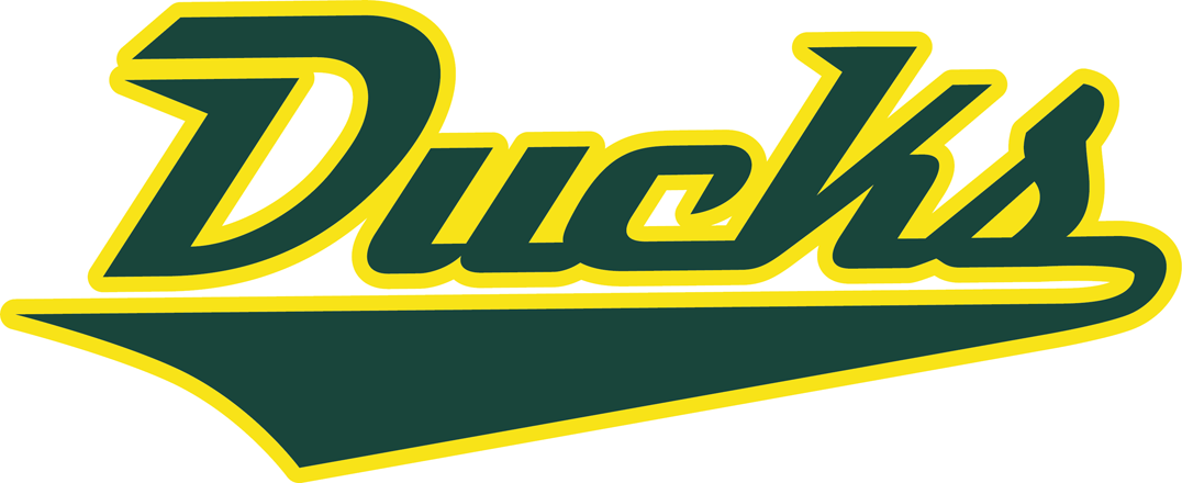 Oregon Ducks 2013-Pres Wordmark Logo iron on transfers for fabric